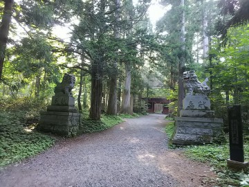 戸隠神社　参道